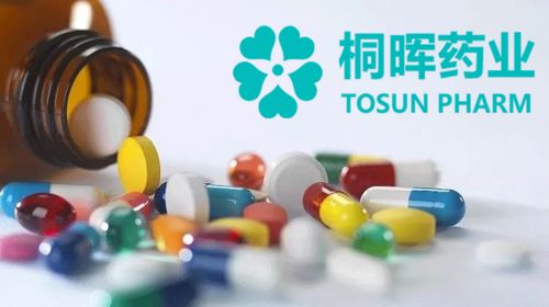 專業仿制藥項目技術轉讓全流程服務與推廣合作指南